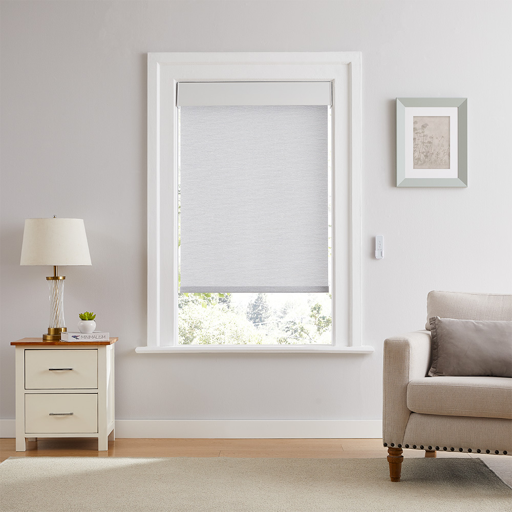 Motorized Modern Textured Dual Roller Shades
