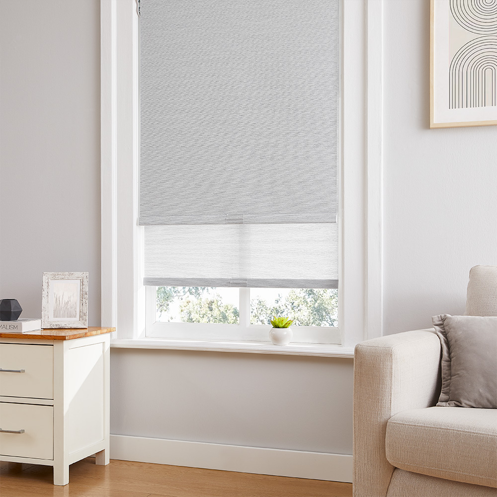 roller window shades 1900