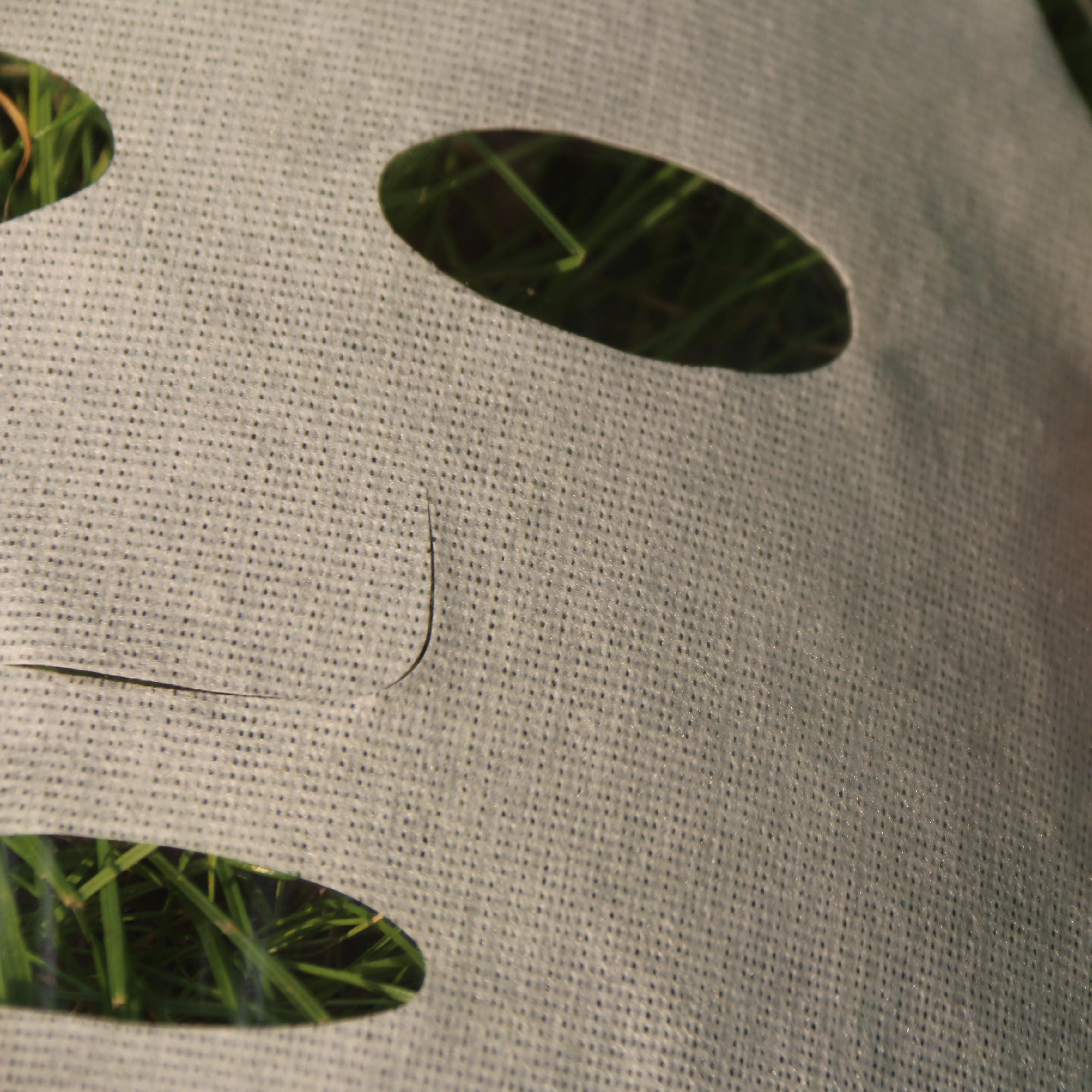 Premium Wheat Protein facial mask material close-up