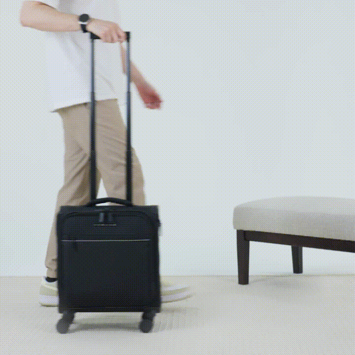 Toledo | Laptop Carry-On